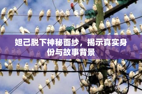 妲己脱下神秘面纱，揭示真实身份与故事背景