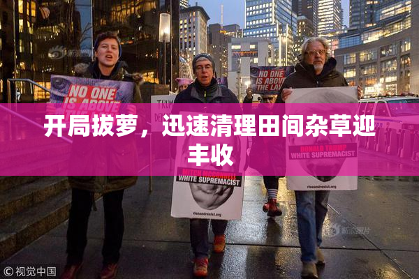 开局拔萝，迅速清理田间杂草迎丰收