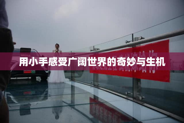 用小手感受广阔世界的奇妙与生机