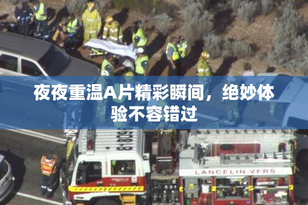 夜夜重温A片精彩瞬间，绝妙体验不容错过