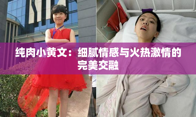 纯肉小黄文：细腻情感与火热激情的完美交融
