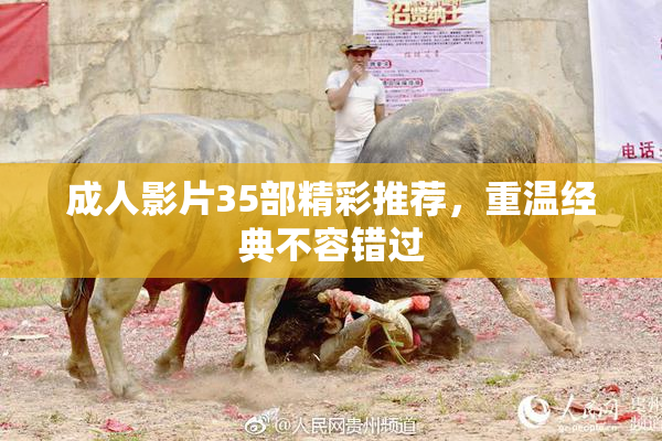 成人影片35部精彩推荐，重温经典不容错过