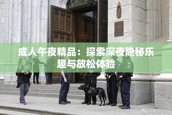 成人午夜精品：探索深夜隐秘乐趣与放松体验