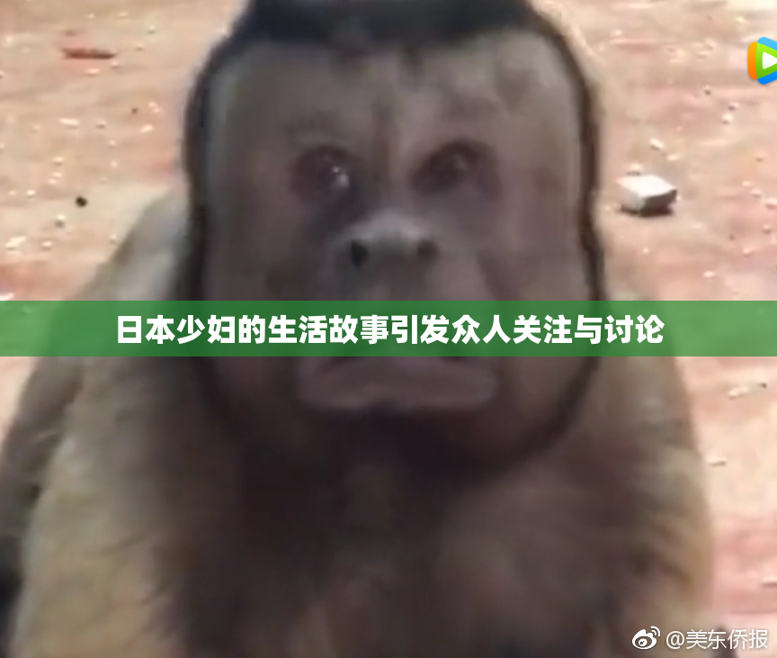 日本少妇的生活故事引发众人关注与讨论