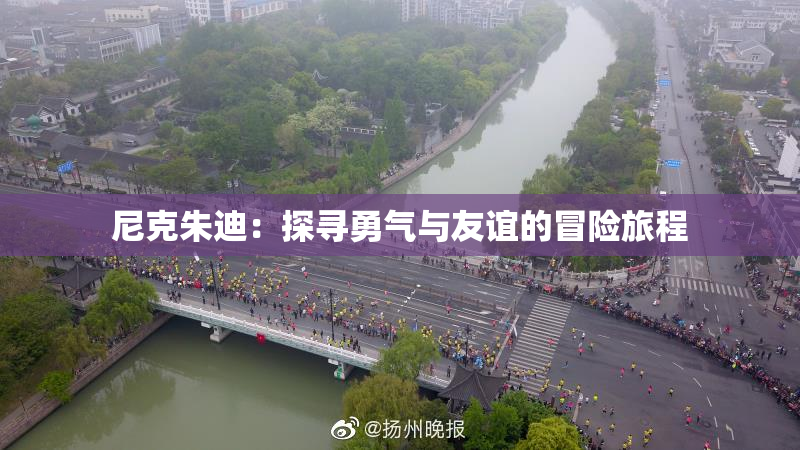 尼克朱迪：探寻勇气与友谊的冒险旅程