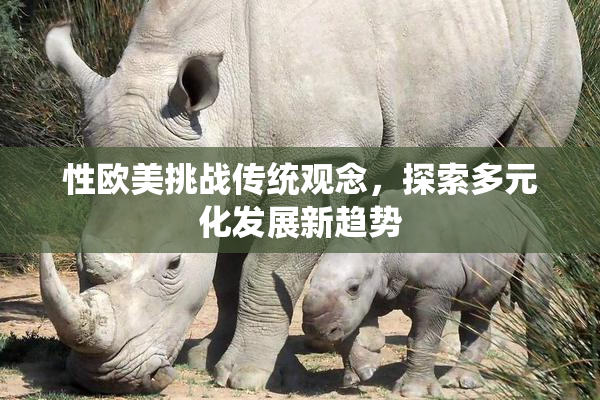 性欧美挑战传统观念，探索多元化发展新趋势