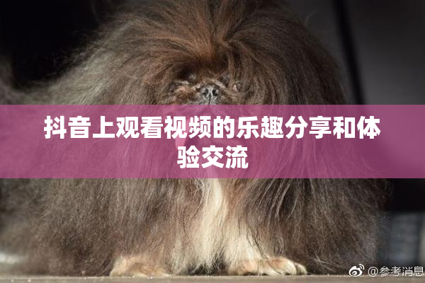 抖音上观看视频的乐趣分享和体验交流