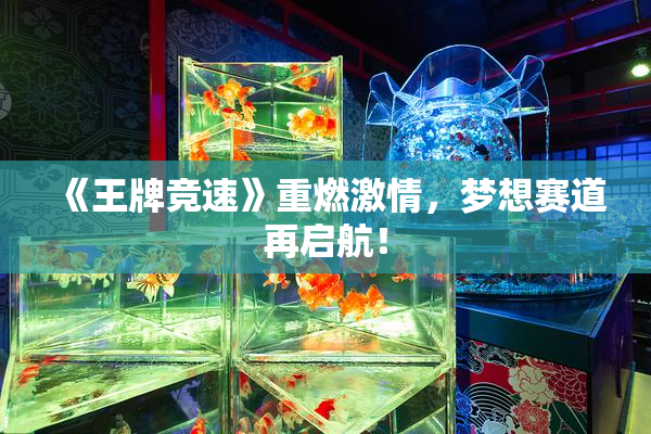 《王牌竞速》重燃激情，梦想赛道再启航！