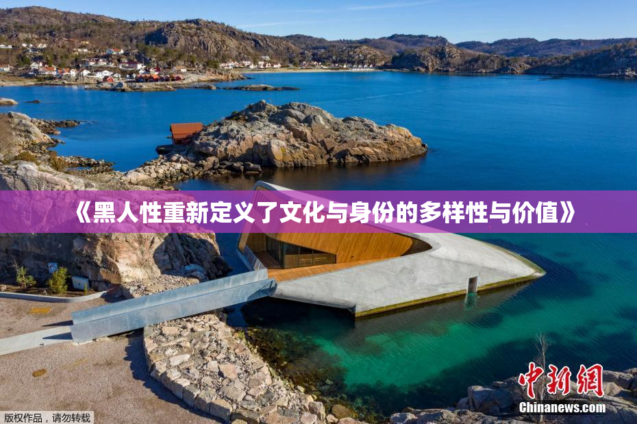 《黑人性重新定义了文化与身份的多样性与价值》