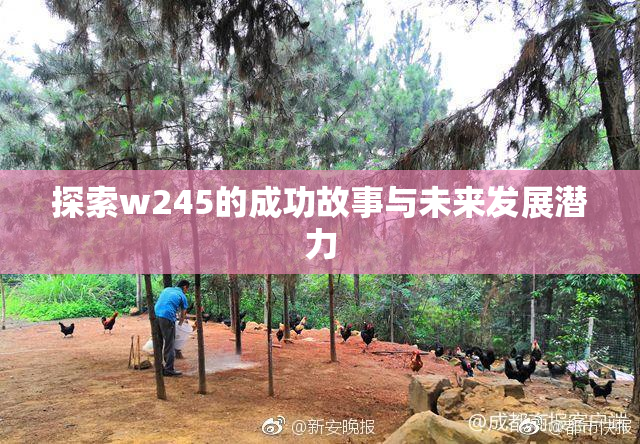 探索w245的成功故事与未来发展潜力