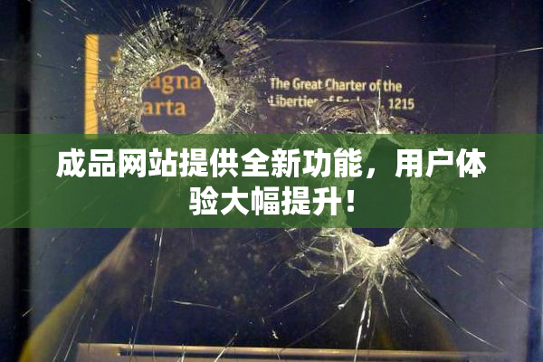 成品网站提供全新功能，用户体验大幅提升！