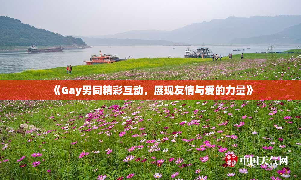 《Gay男同精彩互动，展现友情与爱的力量》