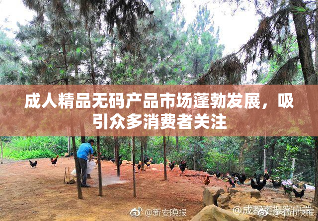成人精品无码产品市场蓬勃发展，吸引众多消费者关注