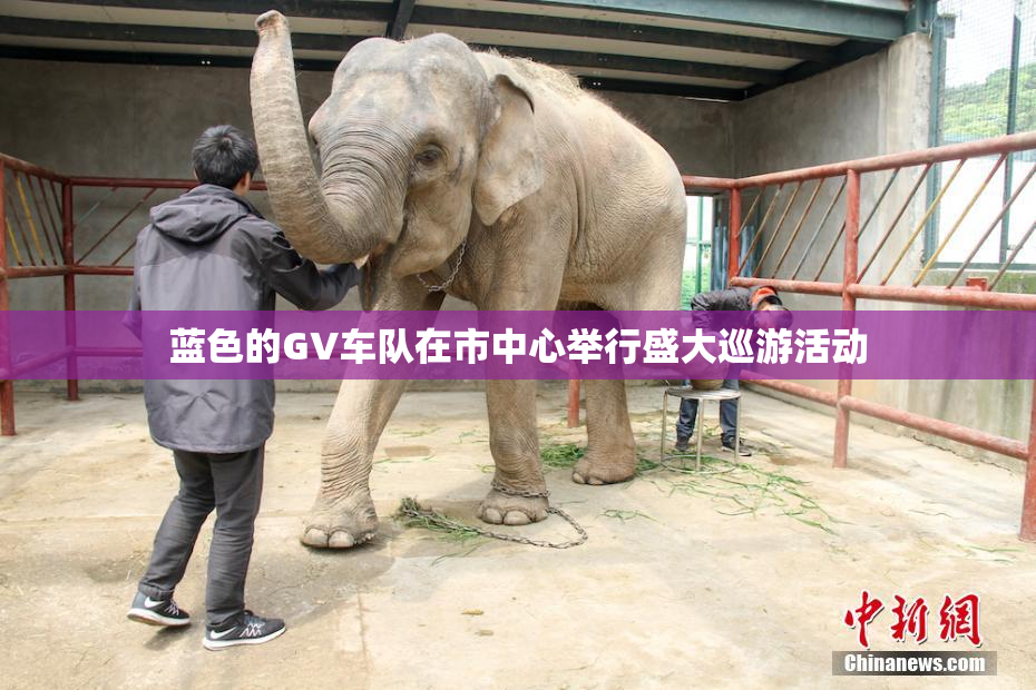 蓝色的GV车队在市中心举行盛大巡游活动