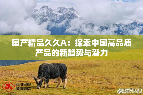 国产精品久久A：探索中国高品质产品的新趋势与潜力