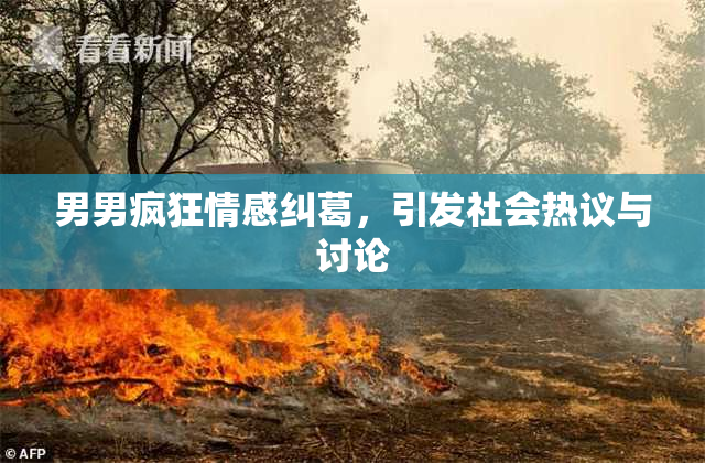 男男疯狂情感纠葛，引发社会热议与讨论