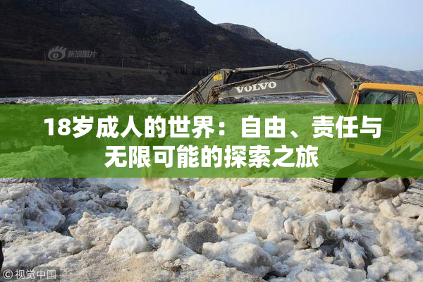 18岁成人的世界：自由、责任与无限可能的探索之旅