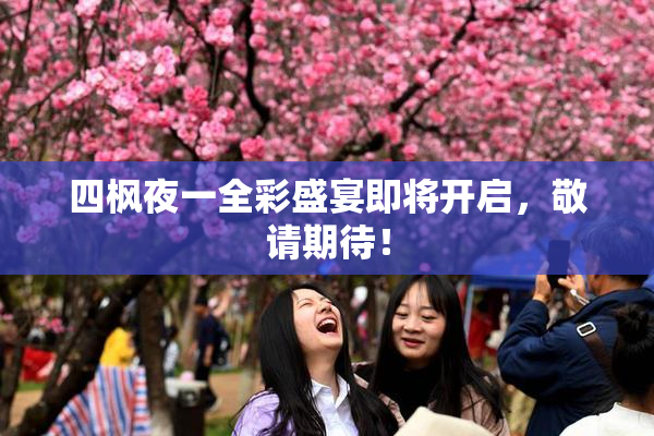 四枫夜一全彩盛宴即将开启，敬请期待！