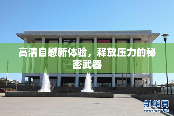 高清自慰新体验，释放压力的秘密武器