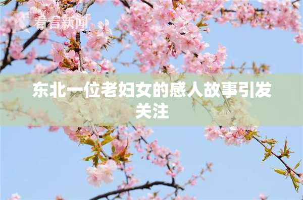 东北一位老妇女的感人故事引发关注