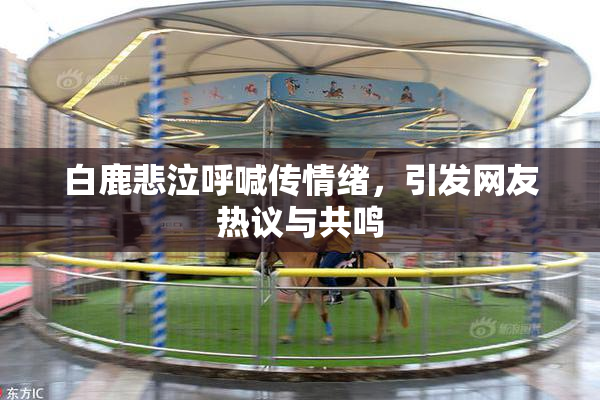 白鹿悲泣呼喊传情绪，引发网友热议与共鸣