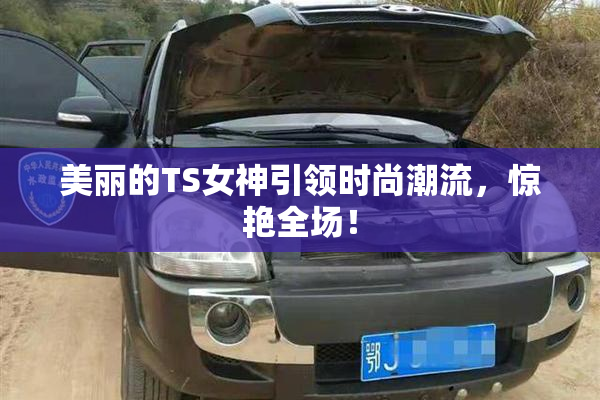 美丽的TS女神引领时尚潮流，惊艳全场！
