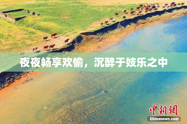 夜夜畅享欢愉，沉醉于妓乐之中