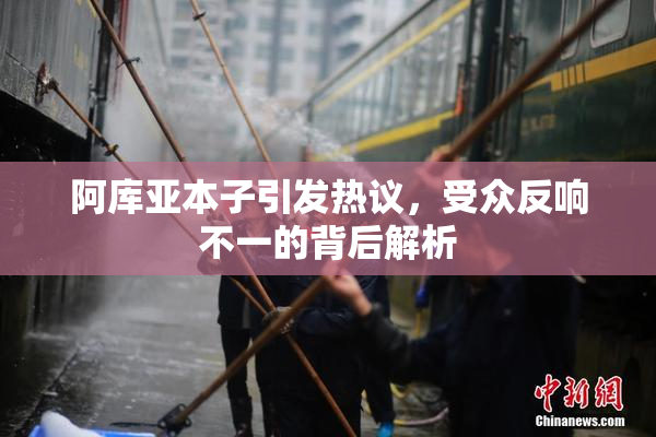 阿库亚本子引发热议，受众反响不一的背后解析