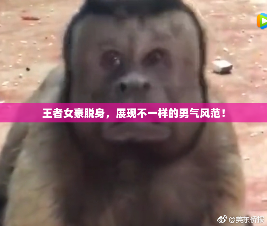 王者女豪脱身，展现不一样的勇气风范！