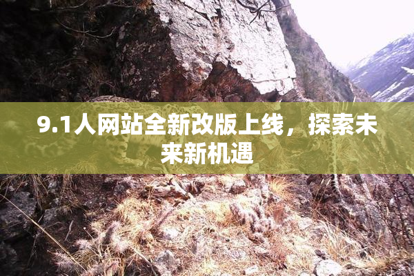9.1人网站全新改版上线，探索未来新机遇