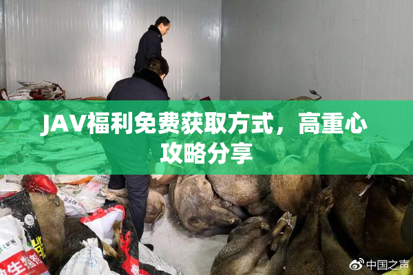 JAV福利免费获取方式，高重心攻略分享