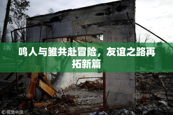 鸣人与雏共赴冒险，友谊之路再拓新篇