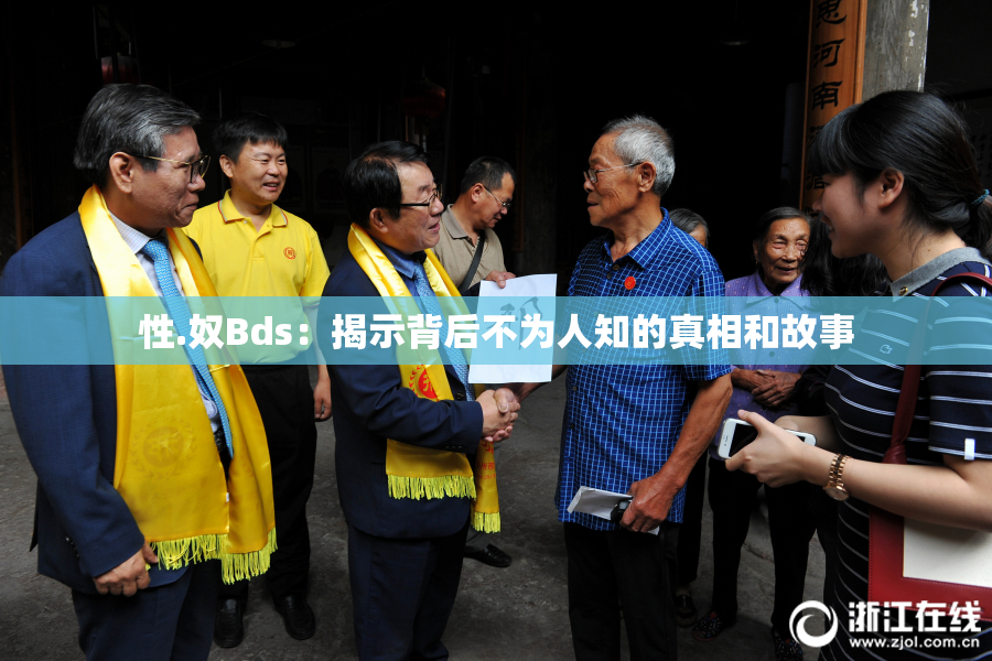 性.奴Bds：揭示背后不为人知的真相和故事