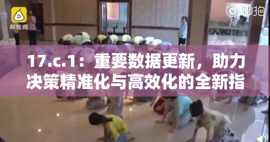 17.c.1：重要数据更新，助力决策精准化与高效化的全新指导方案出台