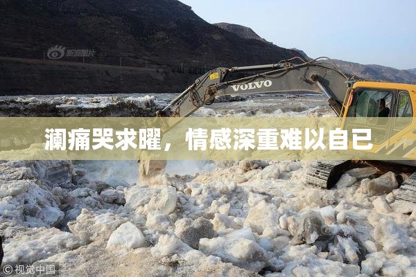 澜痛哭求曜，情感深重难以自已