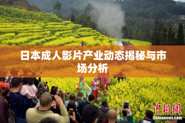日本成人影片产业动态揭秘与市场分析