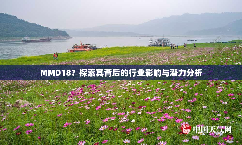 MMD18？探索其背后的行业影响与潜力分析