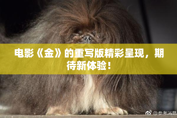 电影《金》的重写版精彩呈现，期待新体验！