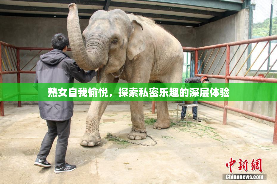 熟女自我愉悦，探索私密乐趣的深层体验