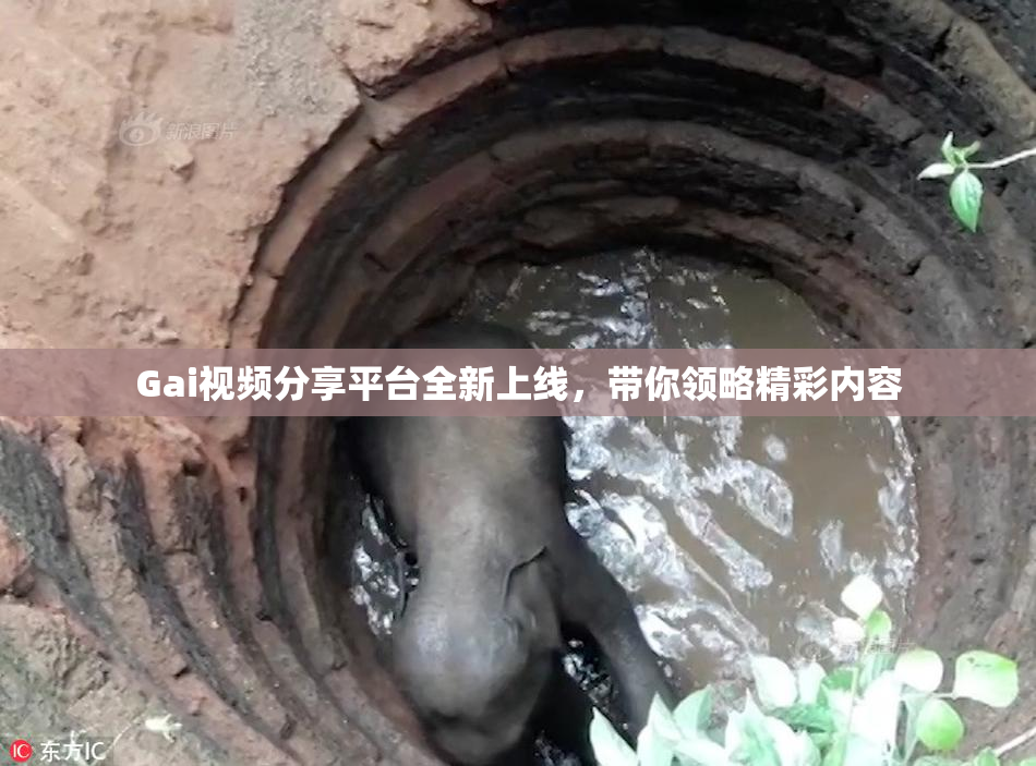 Gai视频分享平台全新上线，带你领略精彩内容