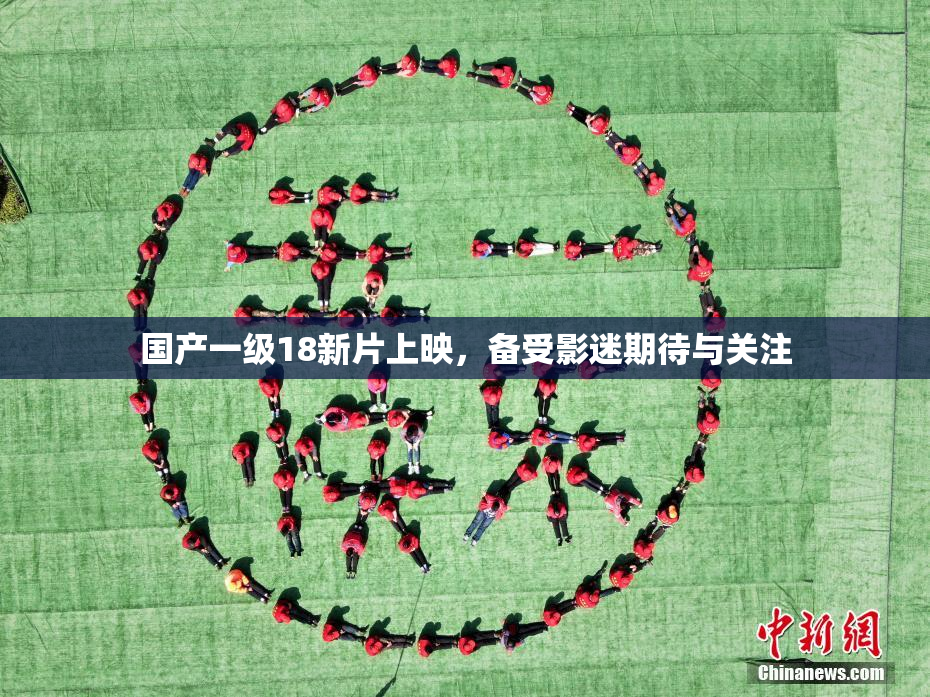 国产一级18新片上映，备受影迷期待与关注