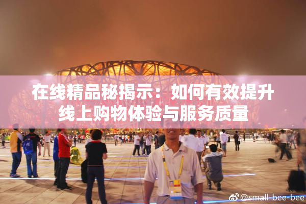 在线精品秘揭示：如何有效提升线上购物体验与服务质量