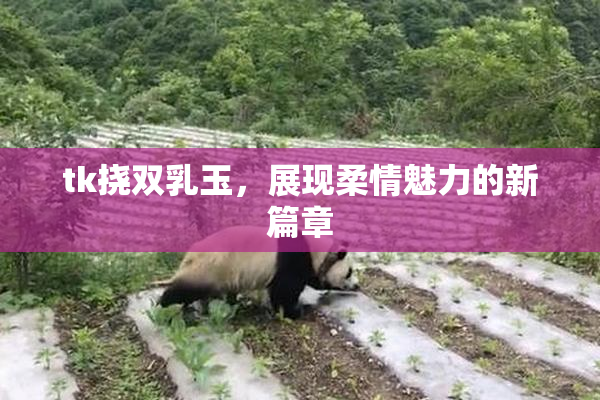 tk挠双乳玉，展现柔情魅力的新篇章