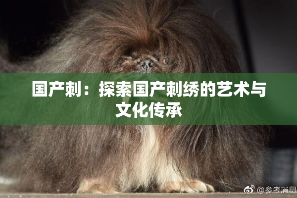 国产刺：探索国产刺绣的艺术与文化传承