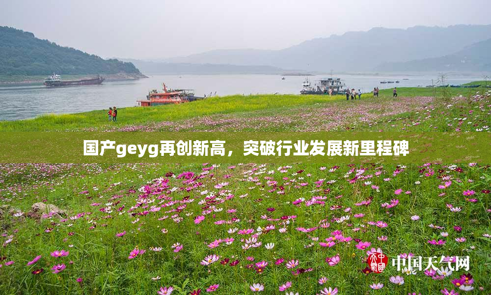 国产geyg再创新高，突破行业发展新里程碑