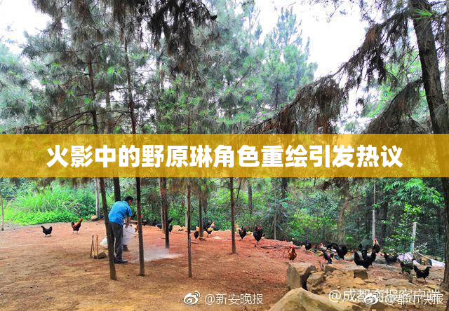 火影中的野原琳角色重绘引发热议
