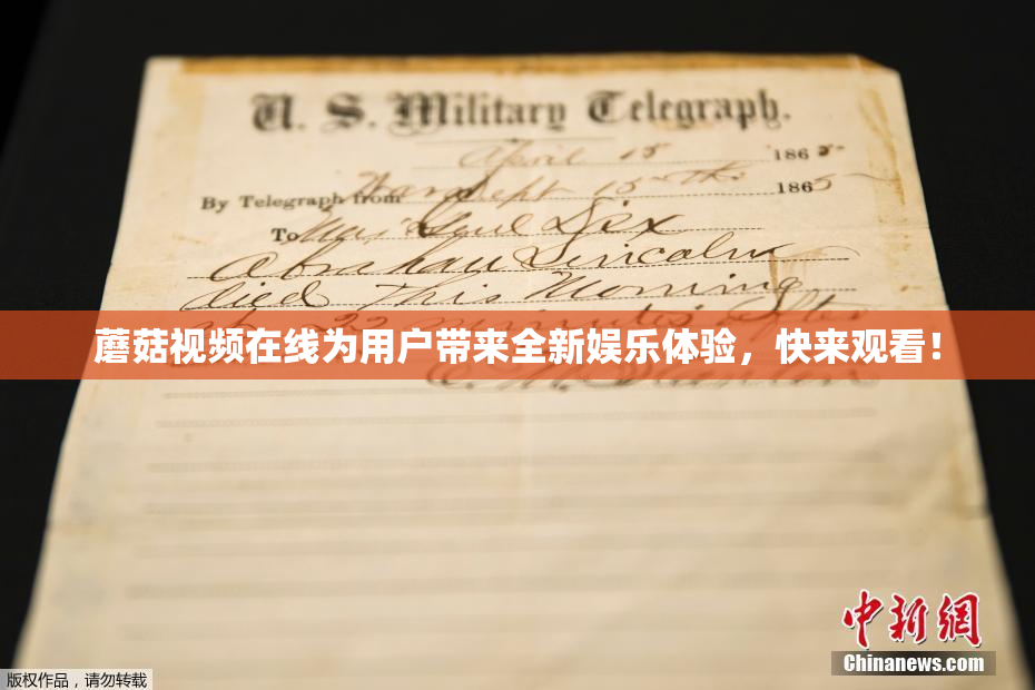 蘑菇视频在线为用户带来全新娱乐体验，快来观看！