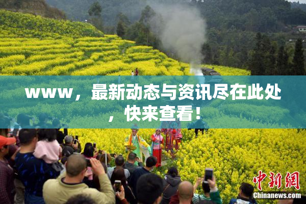www，最新动态与资讯尽在此处，快来查看！