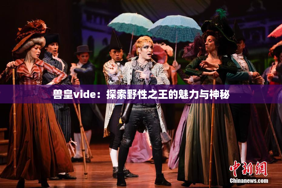 兽皇vide：探索野性之王的魅力与神秘