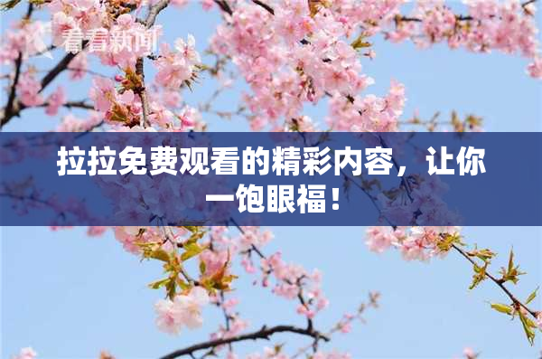 拉拉免费观看的精彩内容，让你一饱眼福！